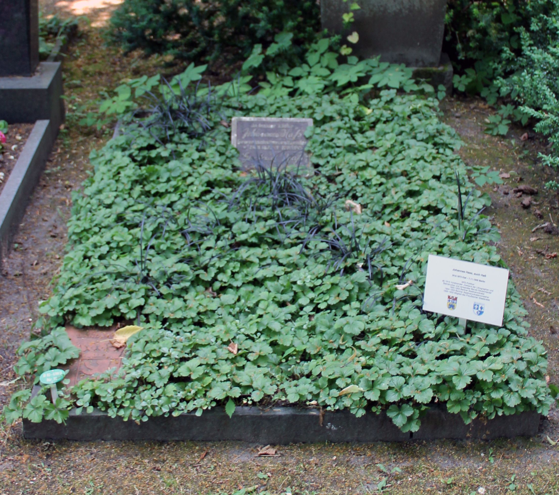 Ehrengrab von Johannes Hass auf dem Friedhof Wilmersdorf