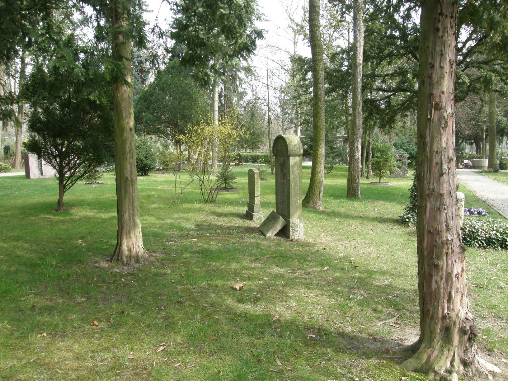 Hainbegräbnisplatz zwischen hohen Bäumen auf dem Friedhof Wilmersdorf